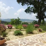 Il Ciocco
