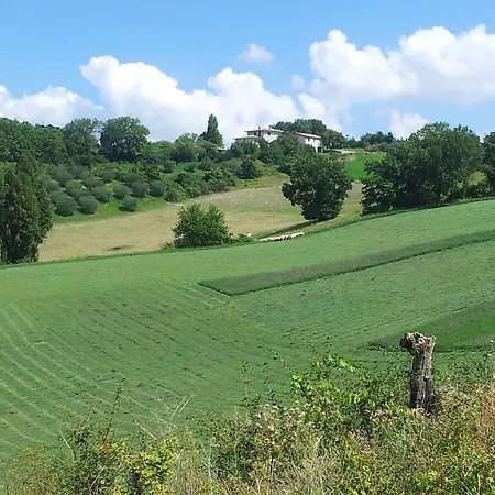 Il Ciocco Guest house *