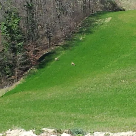 Il Ciocco Guest house Gualdo Tadino