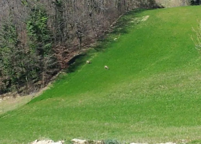 Il Ciocco Vendégház Gualdo Tadino